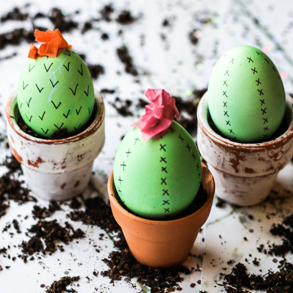 Egg Cacti