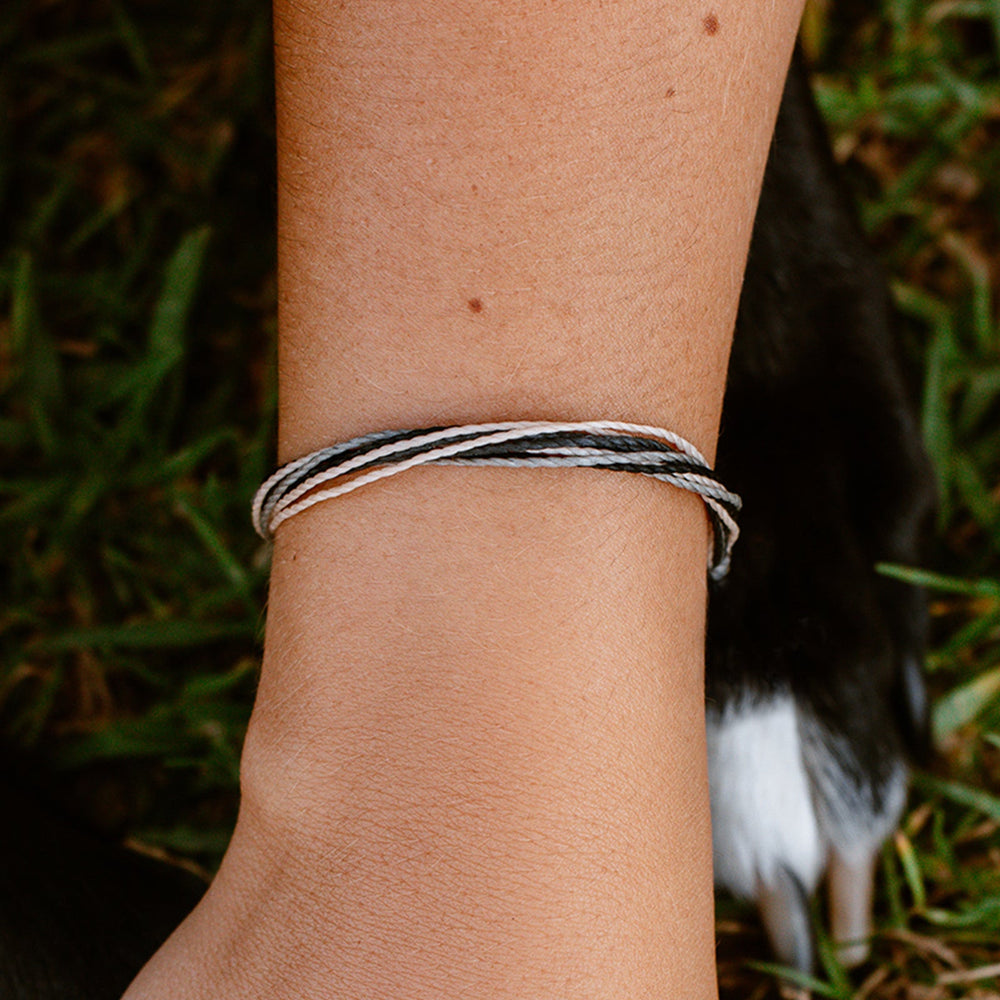 Pet Rescue Bracelet 4