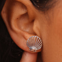 Delicate Shell Stud Earrings Gallery Thumbnail