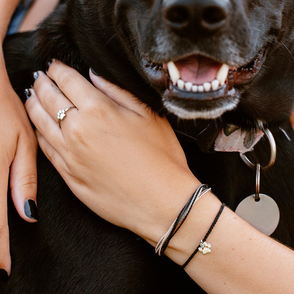 Paw Print Charm Bracelet 3