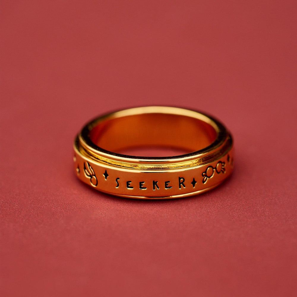 Seeker Fidget Ring 3