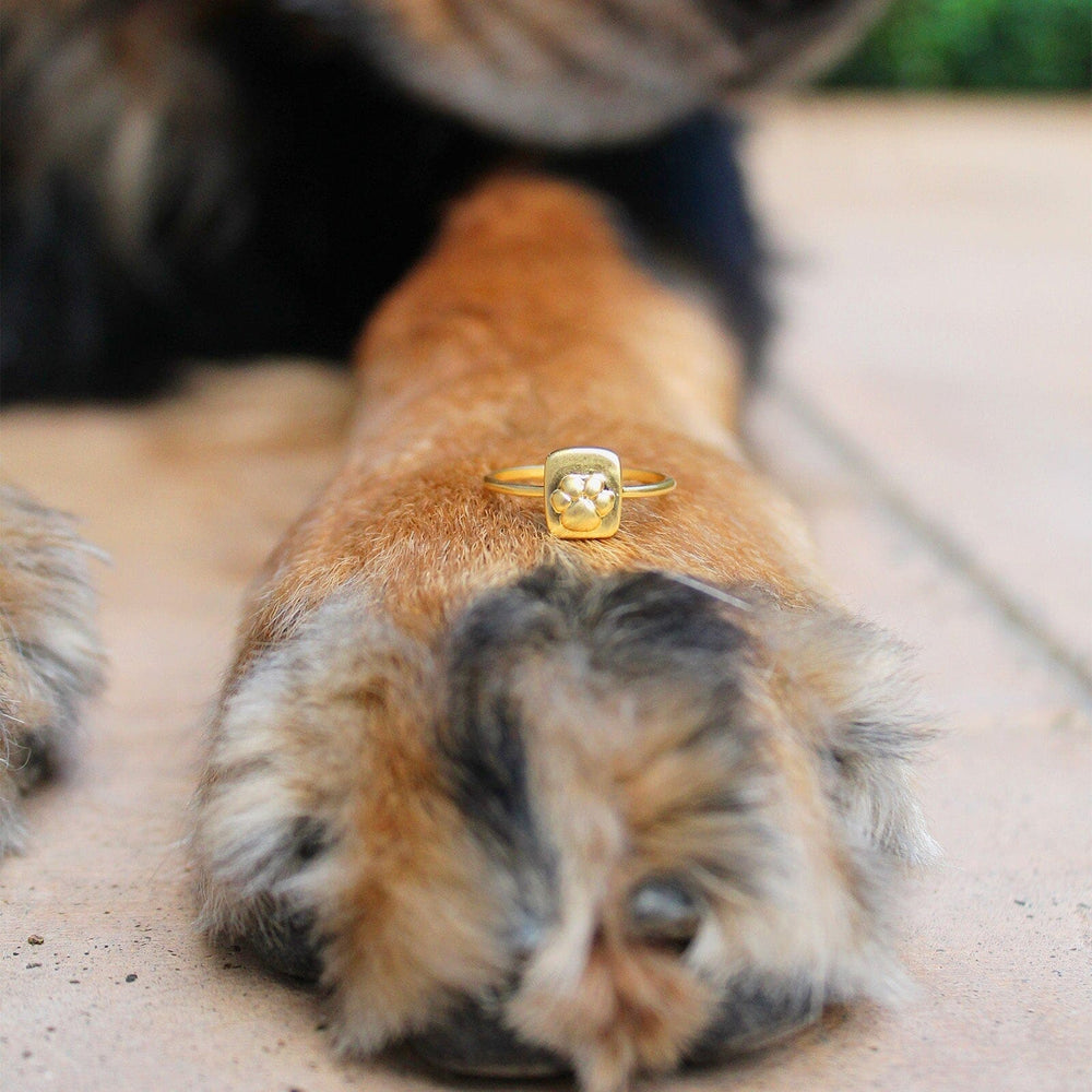 Paw Ring 8