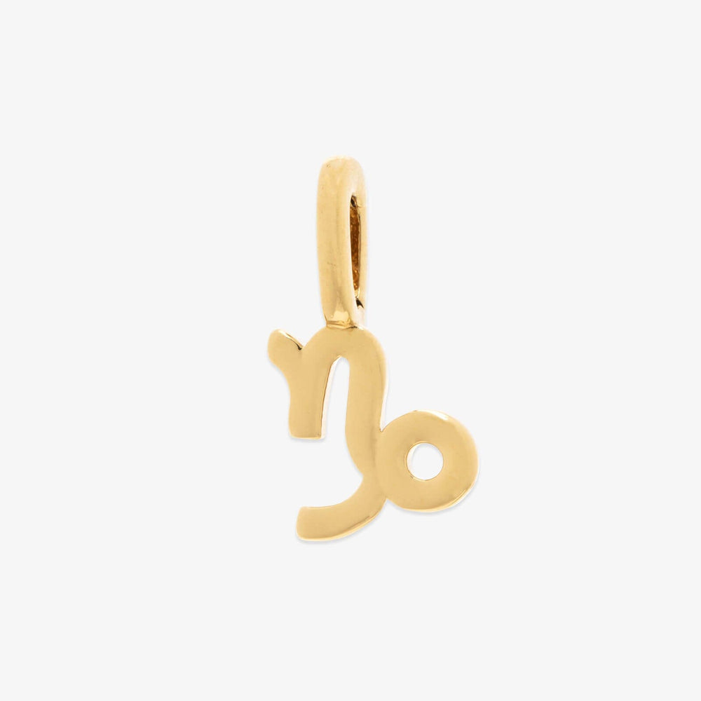 Harper Zodiac Charm 3